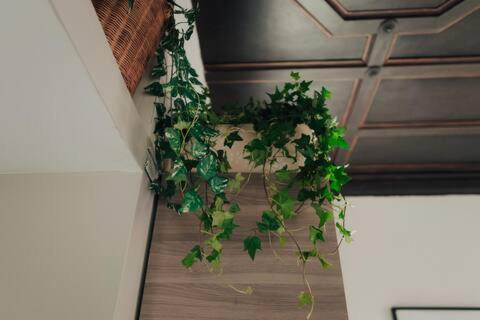 Apartament Opera.House Rzym Zewnętrze zdjęcie